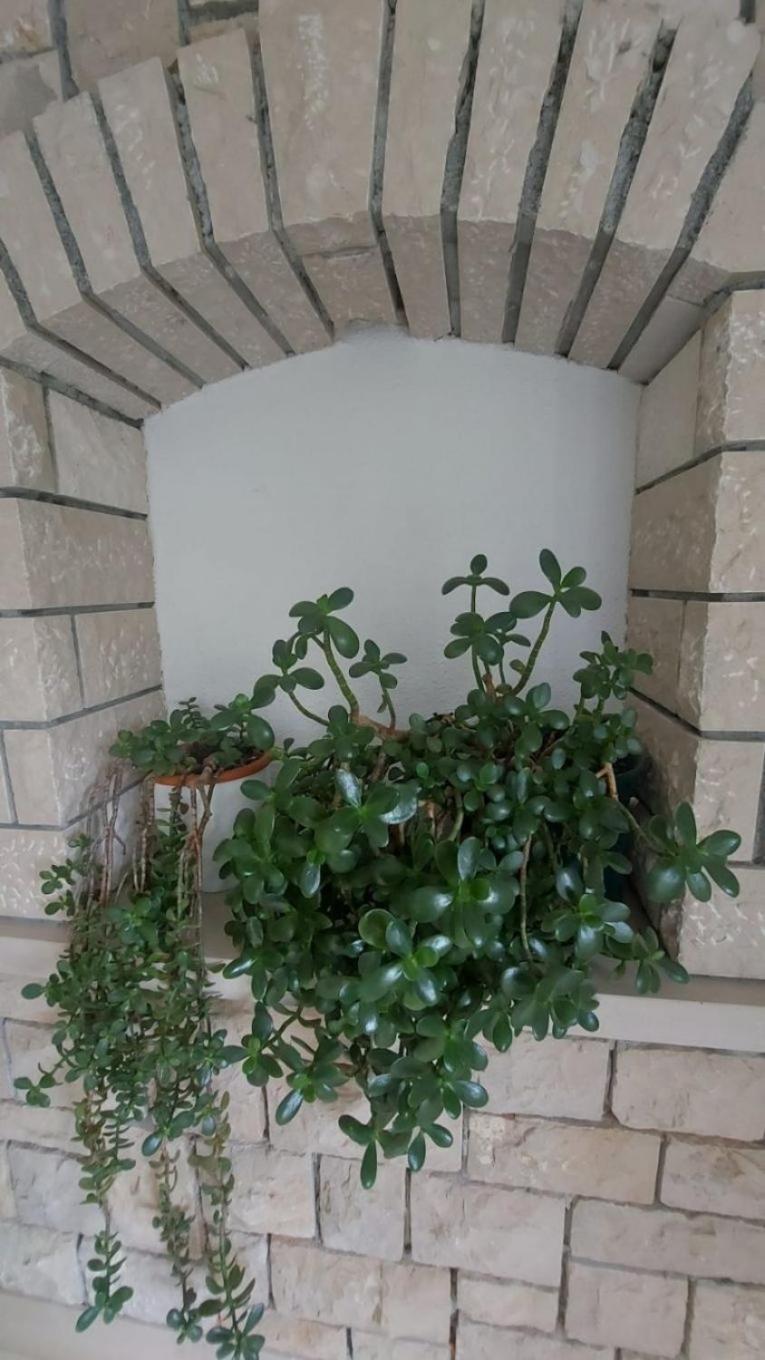 Apartment Brane Bol Exterior foto